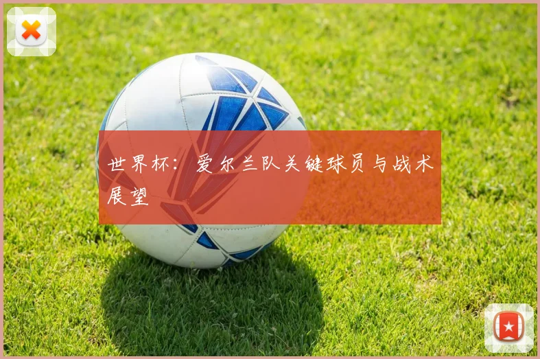 世界杯：爱尔兰队关键球员与战术展望